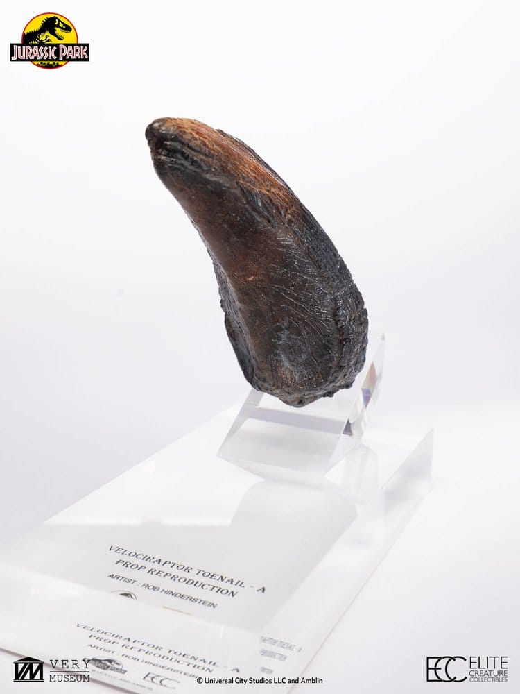 Jurassic Park 1/1 Replica Velociraptor Toenail Type A 11 cm