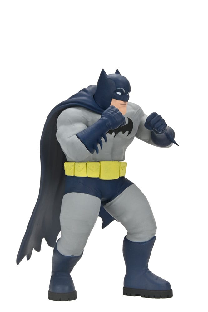 DC Comics Action Figures Series 2 15 cm Assortment (12)