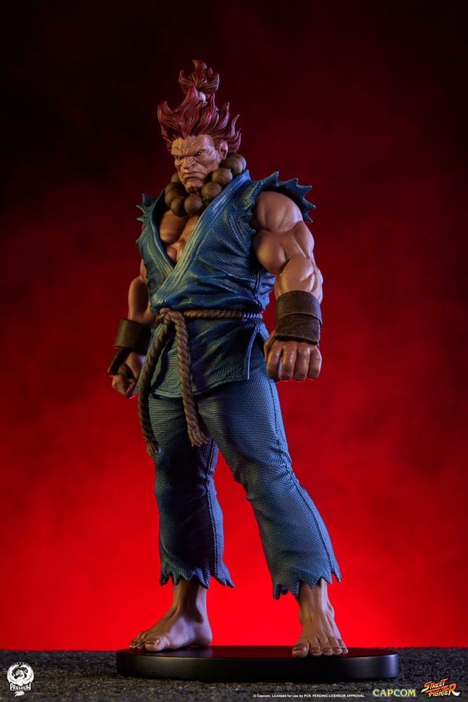 Street Fighter PVC Statues 1/10 Akuma & Dhalsim 21 cm