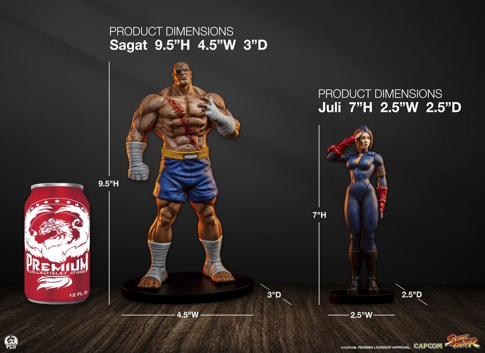 Street Fighter Street Jam Statuen 1/10 Sagat & Juli 24 cm