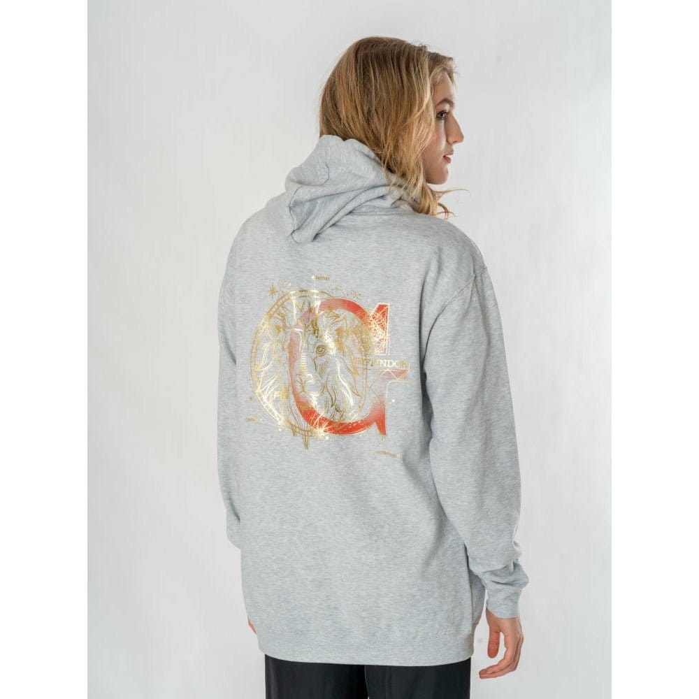 Harry Potter Hooded Sweater Gryffindor Zodiac Size XL