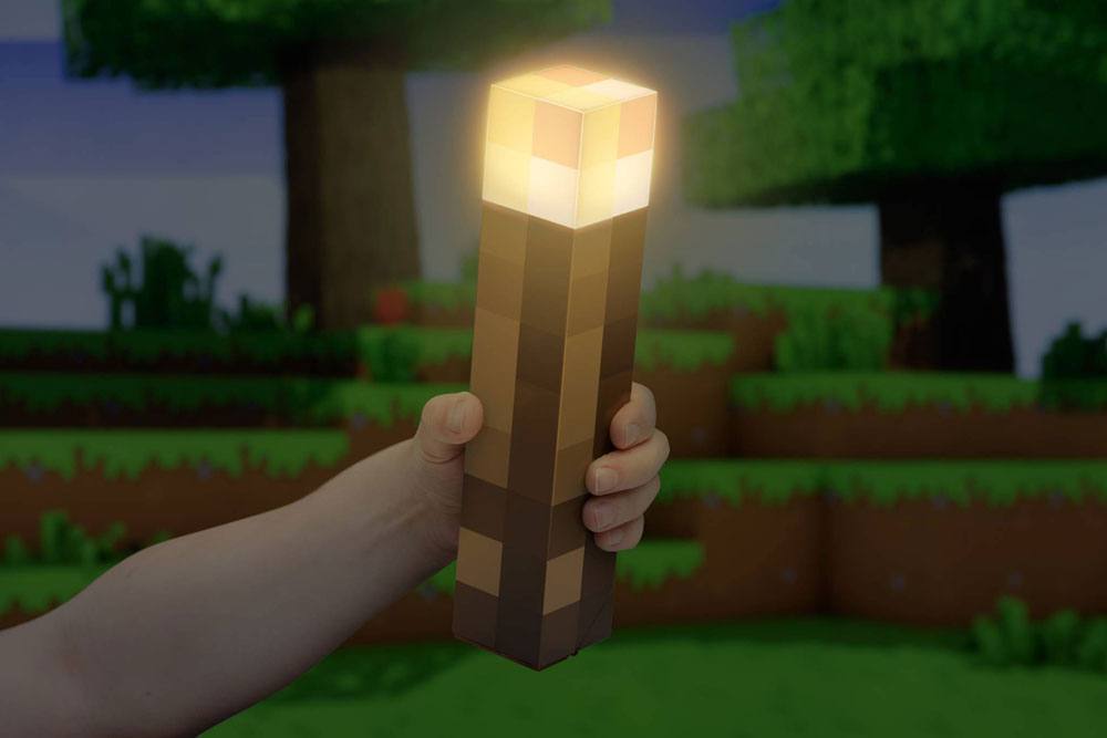 Minecraft Torch Light