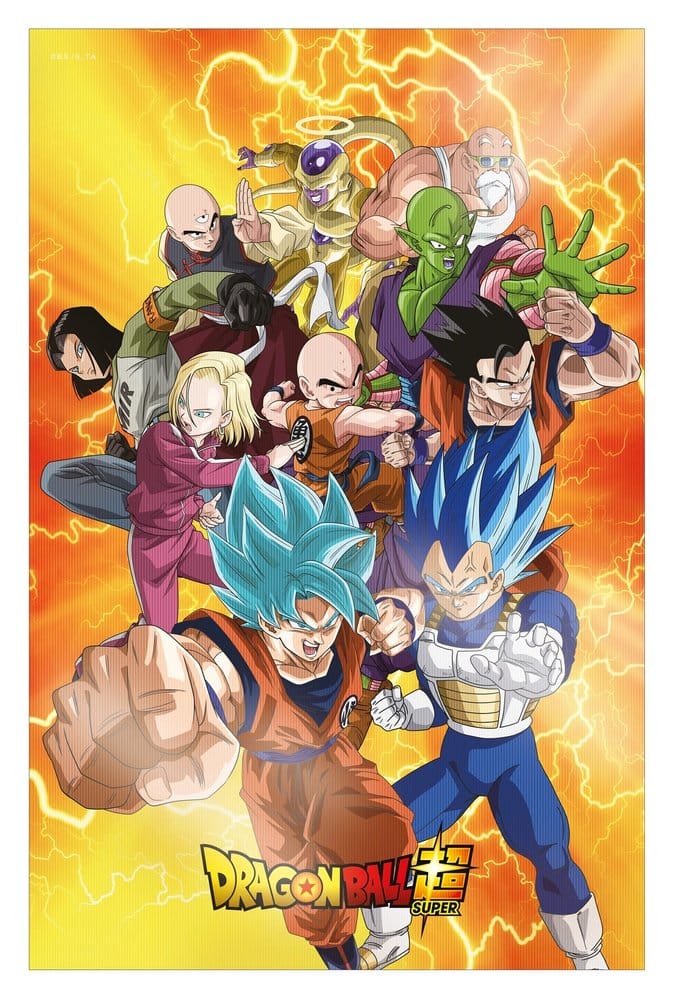 Dragon Ball Super 3D Poster Survival Heroes 38 x 58 cm