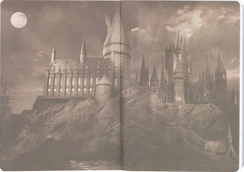 Harry Potter Softcover Notebook Gryffindor 21 cm