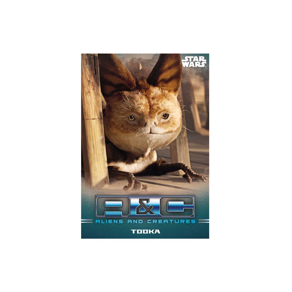 Star Wars: The Mandalorian Trading Cards Starter Pack