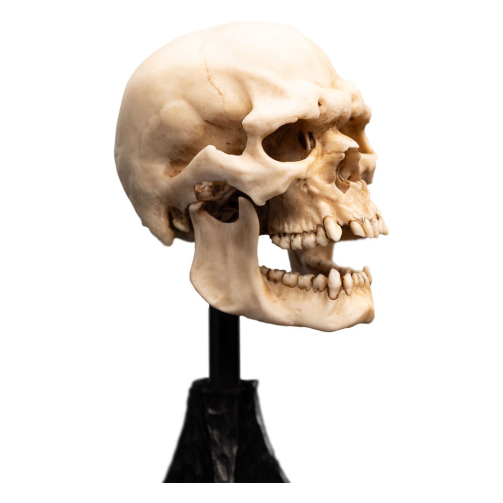 Lord of the Rings Mini Statue Skull of a Mordor Orc 14 cm