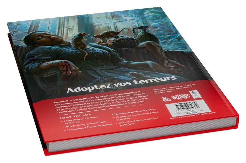 Dungeons & Dragons RPG Ravenloft: Les Reflets de l'Horreur Book *French Version*