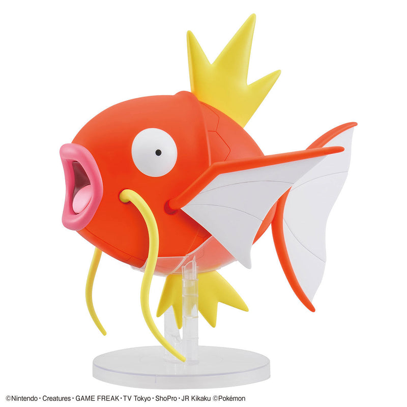 Pokémon Margikarp