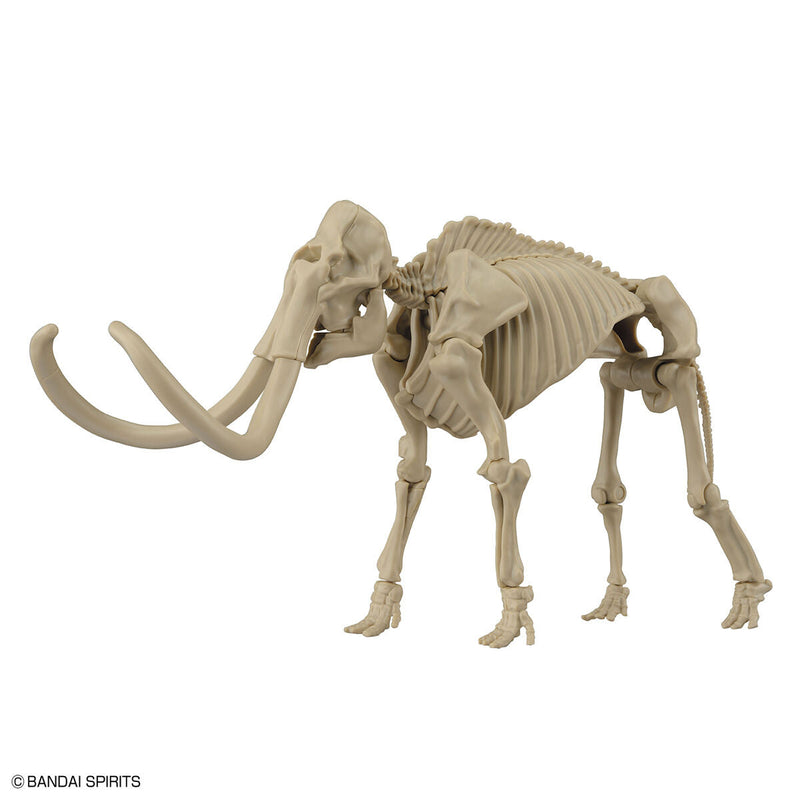 Exploring Lab Nature Mammoth *Damaged box*