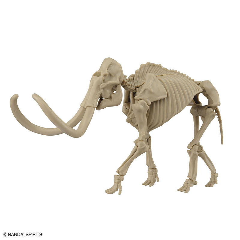 Exploring Lab Nature Mammoth *Damaged box*