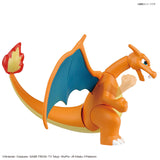 Pokémon Charizard (Battle Ver.) & Dragonite