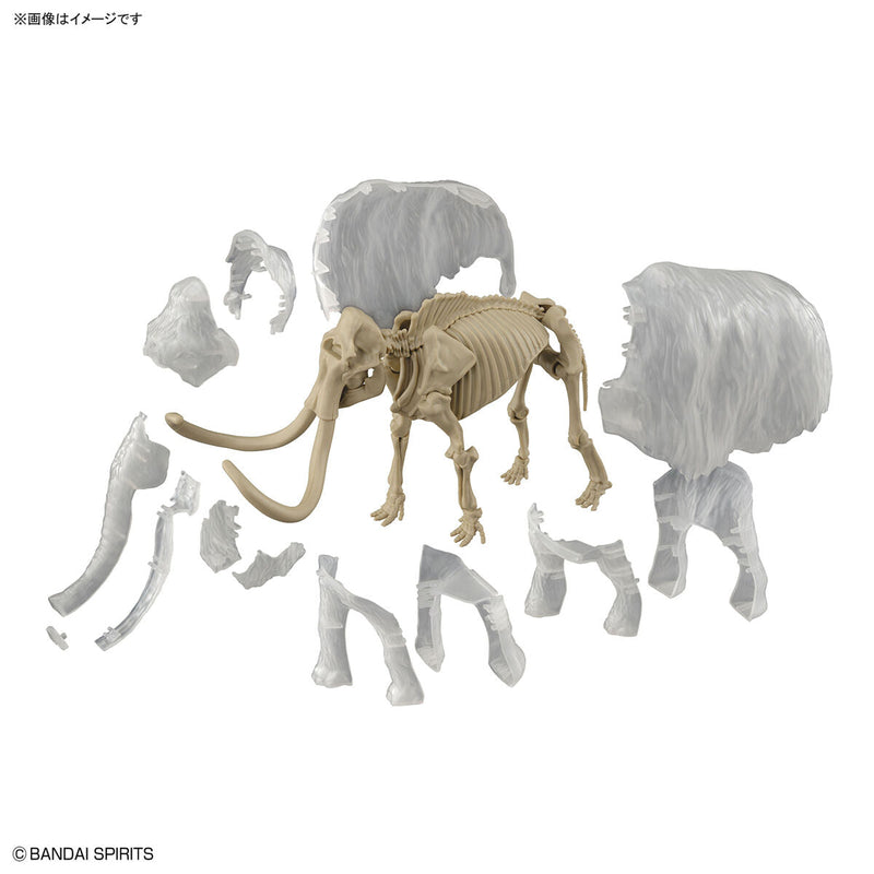 Exploring Lab Nature Mammoth *Damaged box*