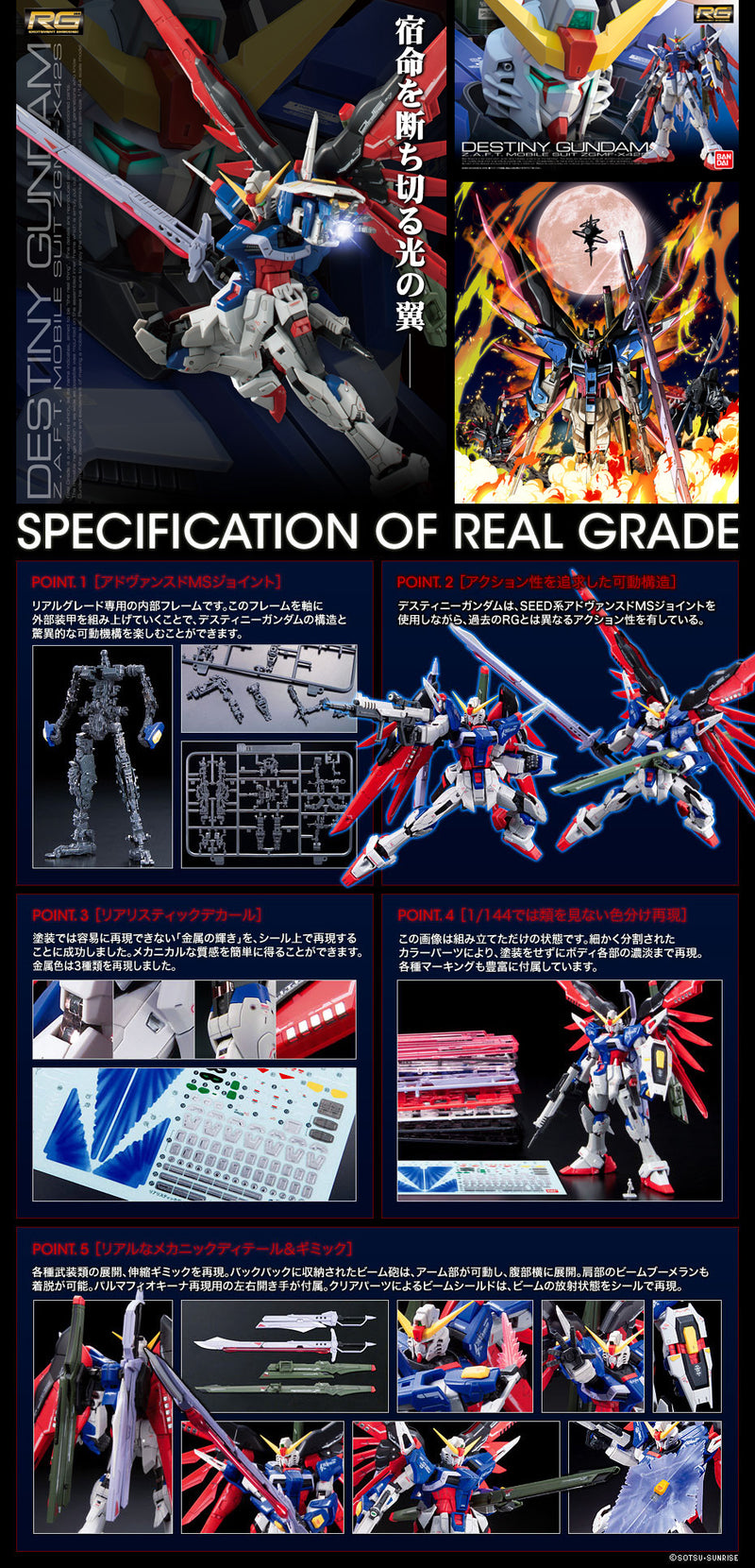 RG Destiny Gundam 1/144