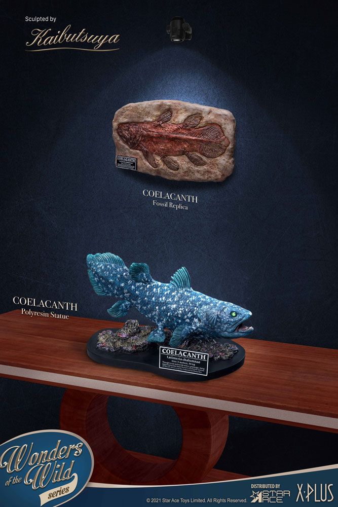 Wonders of the Wild Statue Coelacanth Deluxe Version 28 cm - Damaged packaging